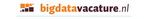 Bigdatavacature.nl + Top Job